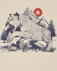 Boys Animal Graphic Tee 2-Pack