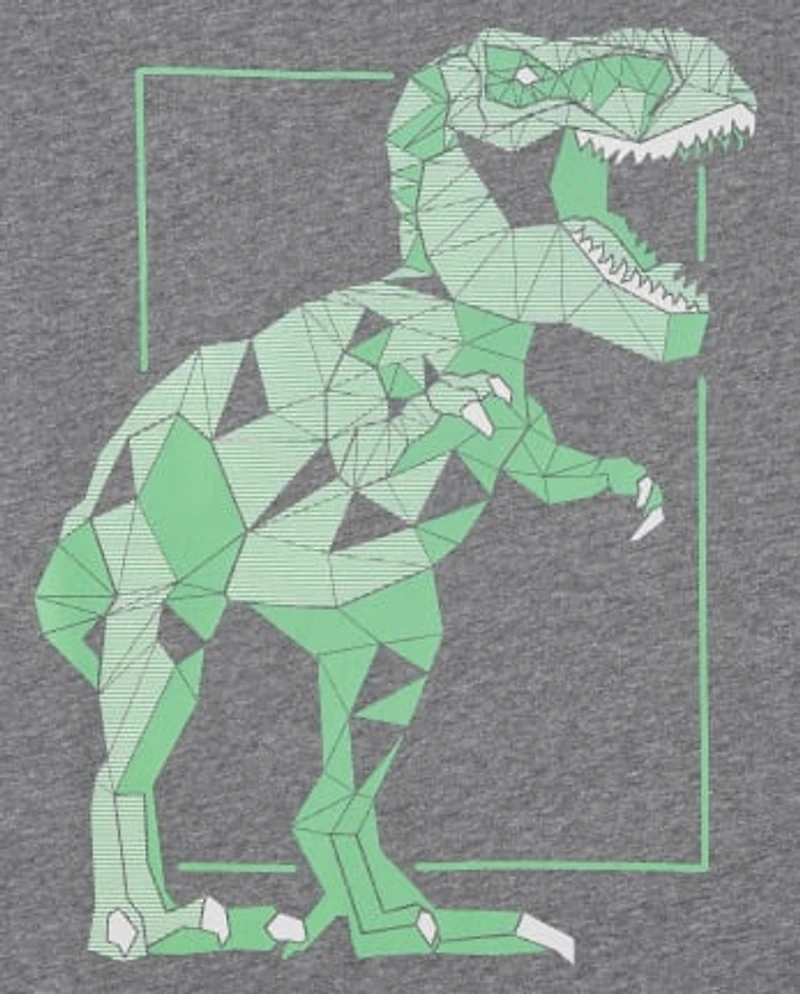 Boys Animal Graphic Tee 3-Pack