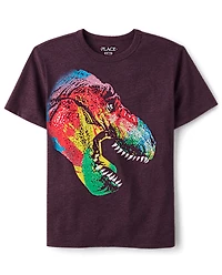 Boys Rainbow Dino Graphic Tee