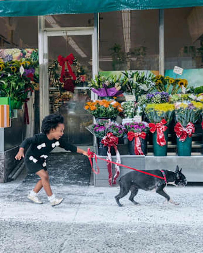 Baby And Toddler Girls Bow Sweater Dress