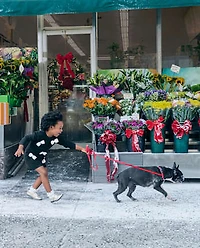 Baby And Toddler Girls Bow Sweater Dress