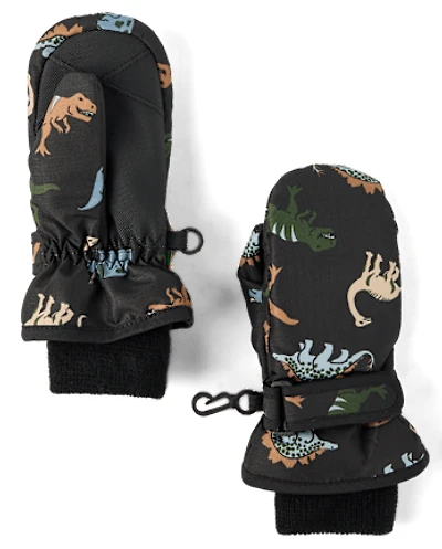 Toddler Boys Print Ski Mittens