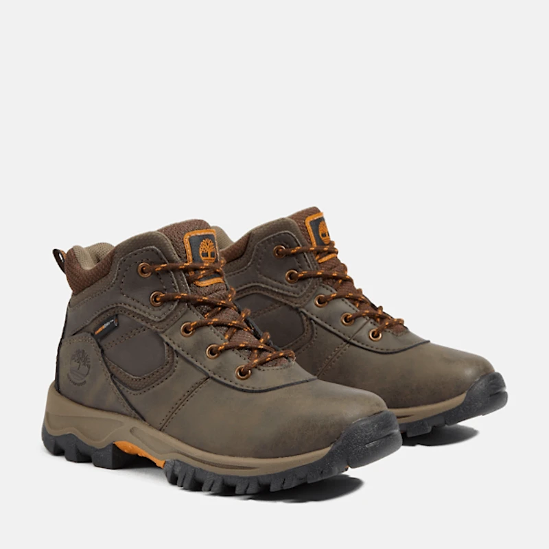 Youth Mt. Maddsen Waterproof Mid Hiking Boot