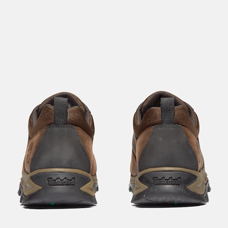 Men's Mt. Maddsen Low Waterproof Hiking Boot