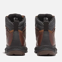 Women's TiTAN EV 6" Comp-Toe Waterproof Insulated Work Boot