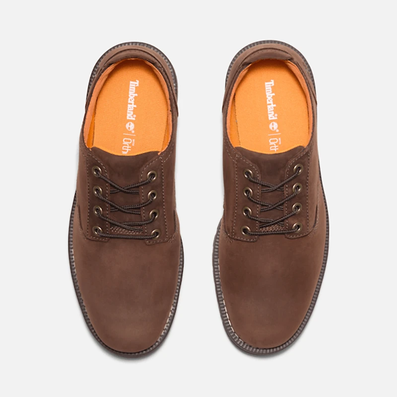 Men's Redwood Falls Waterproof Shoe