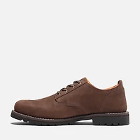 Men's Redwood Falls Waterproof Shoe