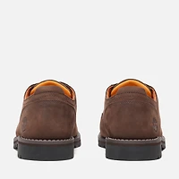 Men's Redwood Falls Waterproof Shoe