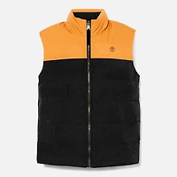 Men's Welch Mountain Durable Water-Repellent Puffer Vest