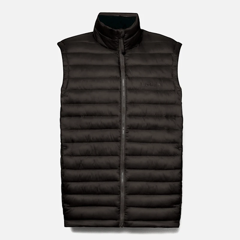 Men's Axis Peak Durable Water-Repellent Vest