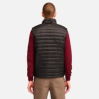 Men's Axis Peak Durable Water-Repellent Vest
