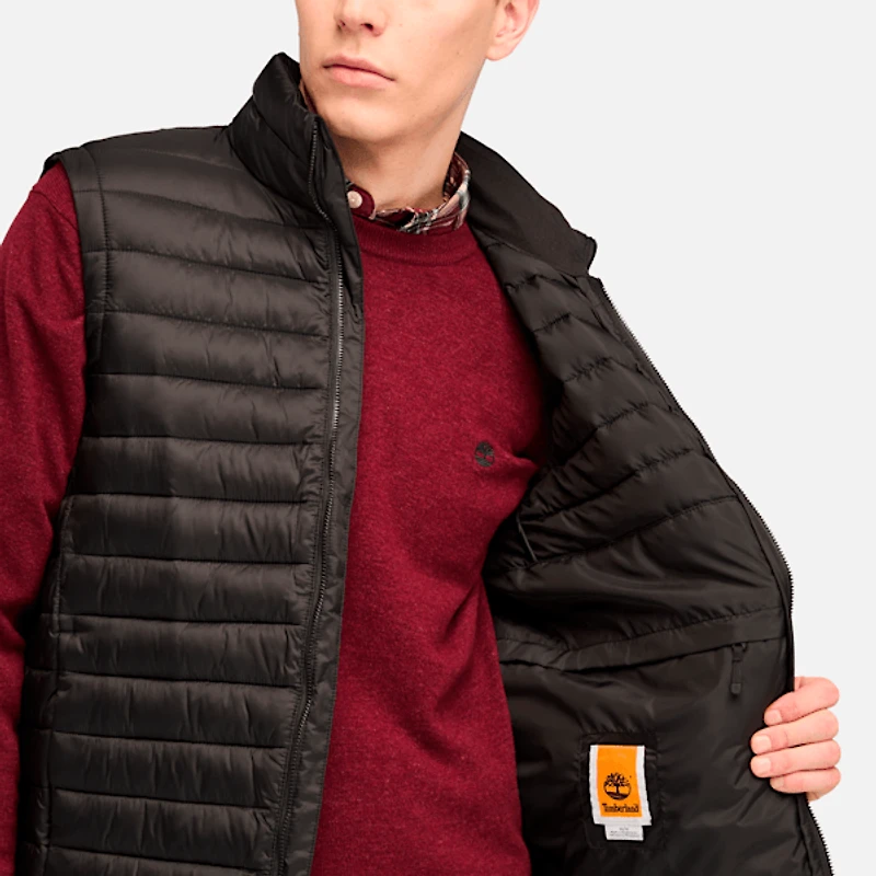 Men's Axis Peak Durable Water-Repellent Vest