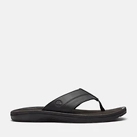 Men's Timberland® Originals Slide Sandal