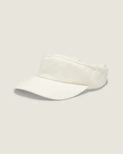 Edgeview Visor