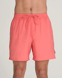 Primary Solid Elastic 17'' Boardshorts