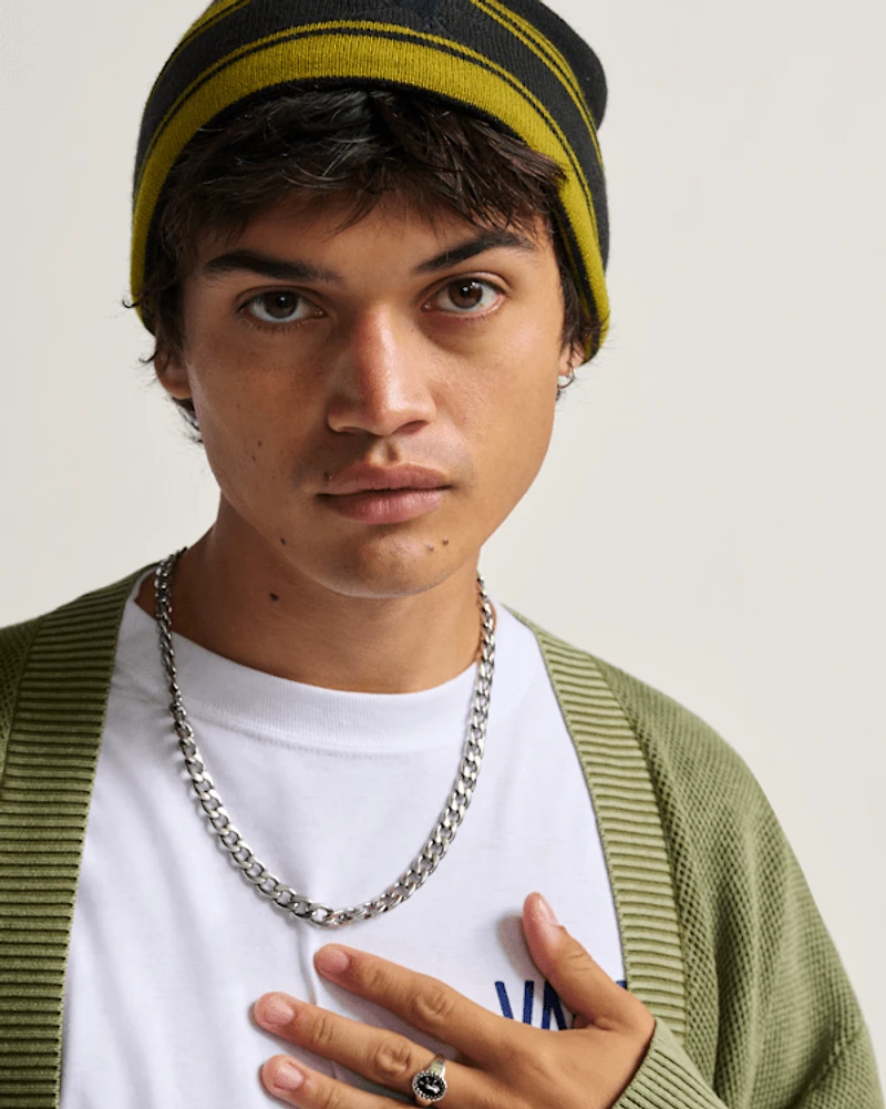 Skate Blurry Stripe Beanie