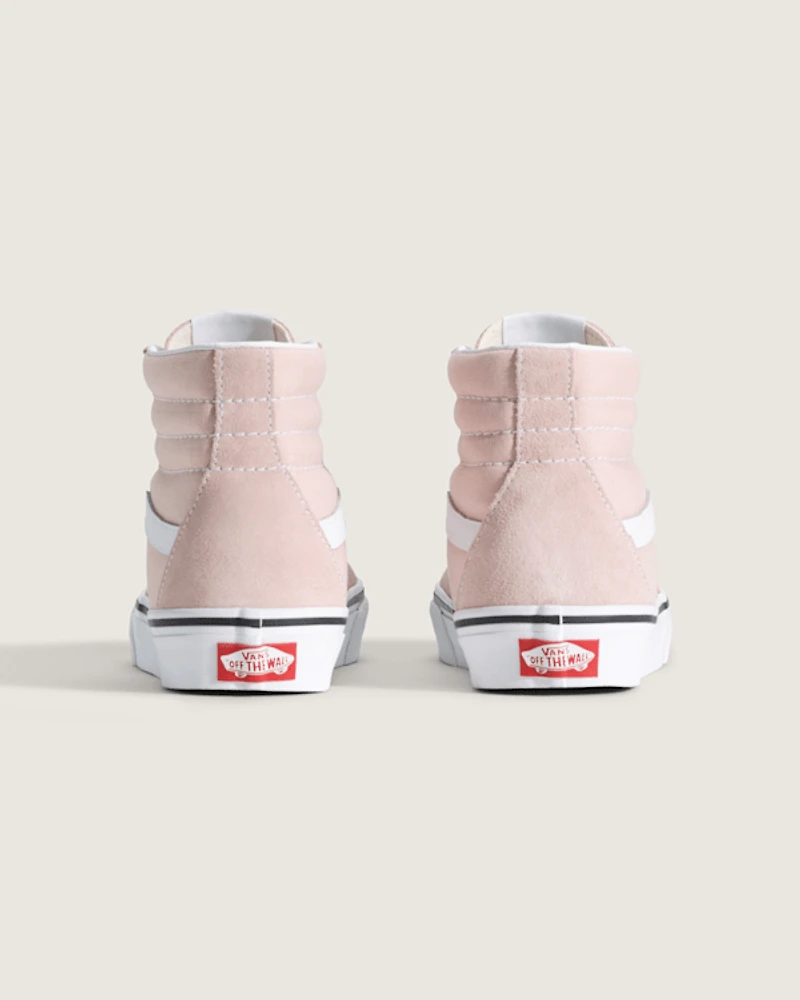 Big Kids Sk8-Hi Shoe