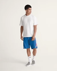 Sliver Boardshorts