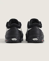 Standard Low Shoe