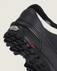 Standard Low Shoe
