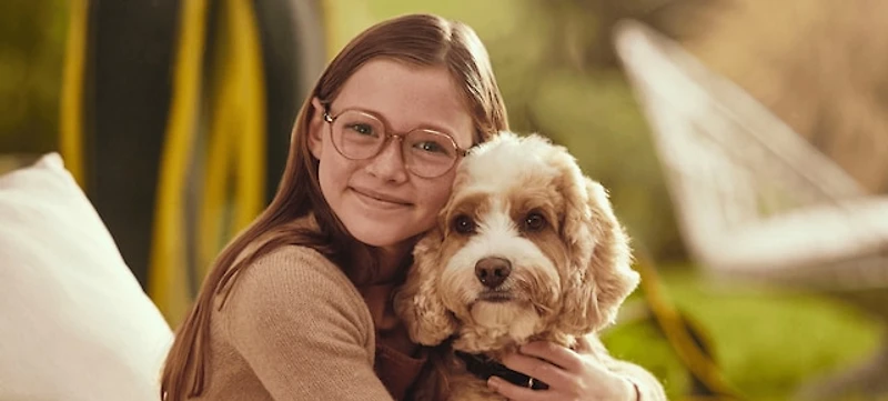 Ray-Ban Jr Unisex Transparent Brown