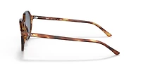 Ray-Ban Unisex Striped Havana