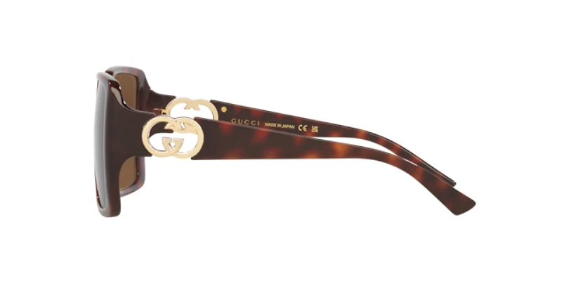 Gucci Woman Tortoise