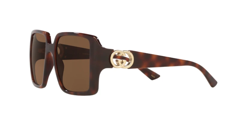 Gucci Woman Tortoise