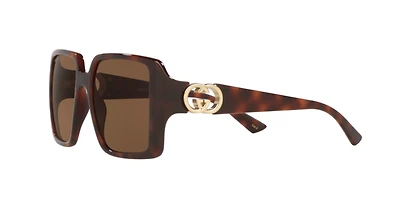 Gucci Woman Tortoise