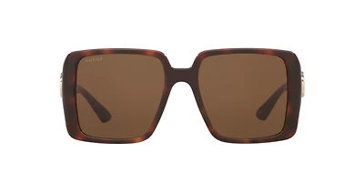 Gucci Woman Tortoise