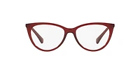 LENSCRAFTERS Woman Shiny