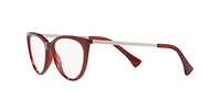 LENSCRAFTERS Woman Shiny