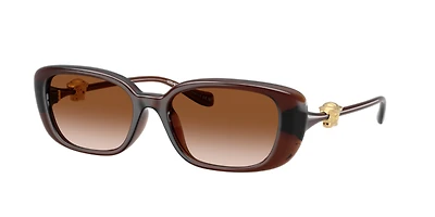 Versace Woman Transparent Brown