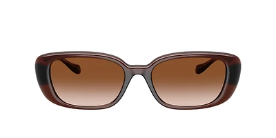Versace Woman Transparent Brown