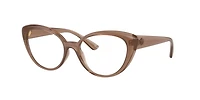 Versace Woman Brown Transparent