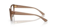 Versace Woman Brown Transparent