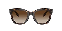 Ralph by Ralph Lauren Woman Shiny Dark Havana