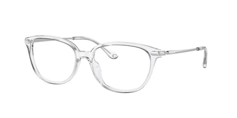 Coach Woman Crystal