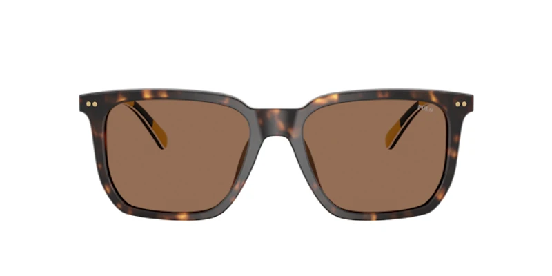 Polo Ralph Lauren Man Shiny Dark Havana