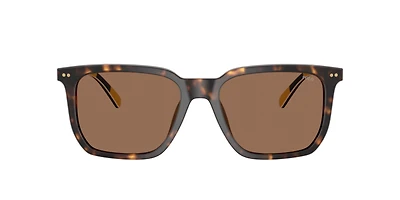 Polo Ralph Lauren Man Shiny Dark Havana