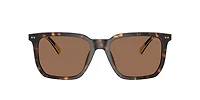 Polo Ralph Lauren Man Shiny Dark Havana