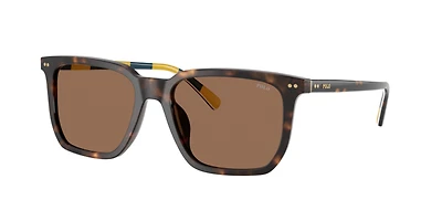 Polo Ralph Lauren Man Shiny Dark Havana