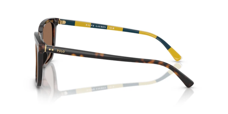Polo Ralph Lauren Man Shiny Dark Havana