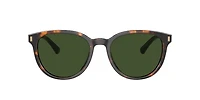 Brooks Brothers Man Tortoise