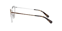 Coach Woman Brown Silver Gold Gradient