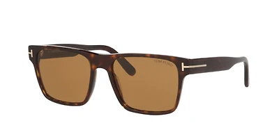 Tom Ford Man Tortoise Black