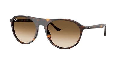 Ray-Ban Unisex Havana