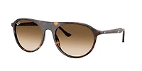Ray-Ban Unisex Havana