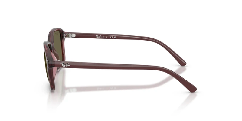 Ray-Ban Unisex Transparent