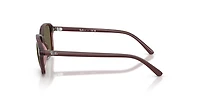 Ray-Ban Unisex Transparent